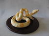 2014 sculpture, Rune Boa - polymer clay Commission 3.75x7in with base