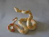 2014 sculpture, Rune Boa - side view polymer clay Commission