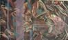 2015 painting, Experiment vulture woman oil on canvas 28x48in
