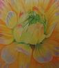 Older, Flower Pastel