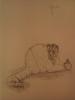 Sketch La civette cupides 2012
