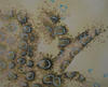 2014 painting, Abstract Study - Reaching Out - oil on canvas - 10x8in
