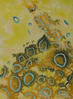 2014 painting, Abstract Study - Testing Fragile Ground - oil on acylic on canvas - 10x8in